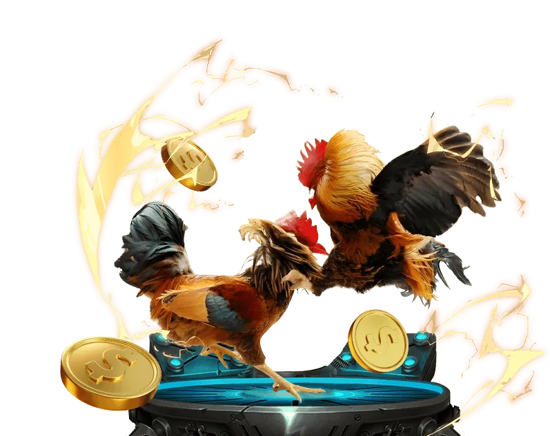 Cách tham gia Câu lạc bộ VIP Kubet11